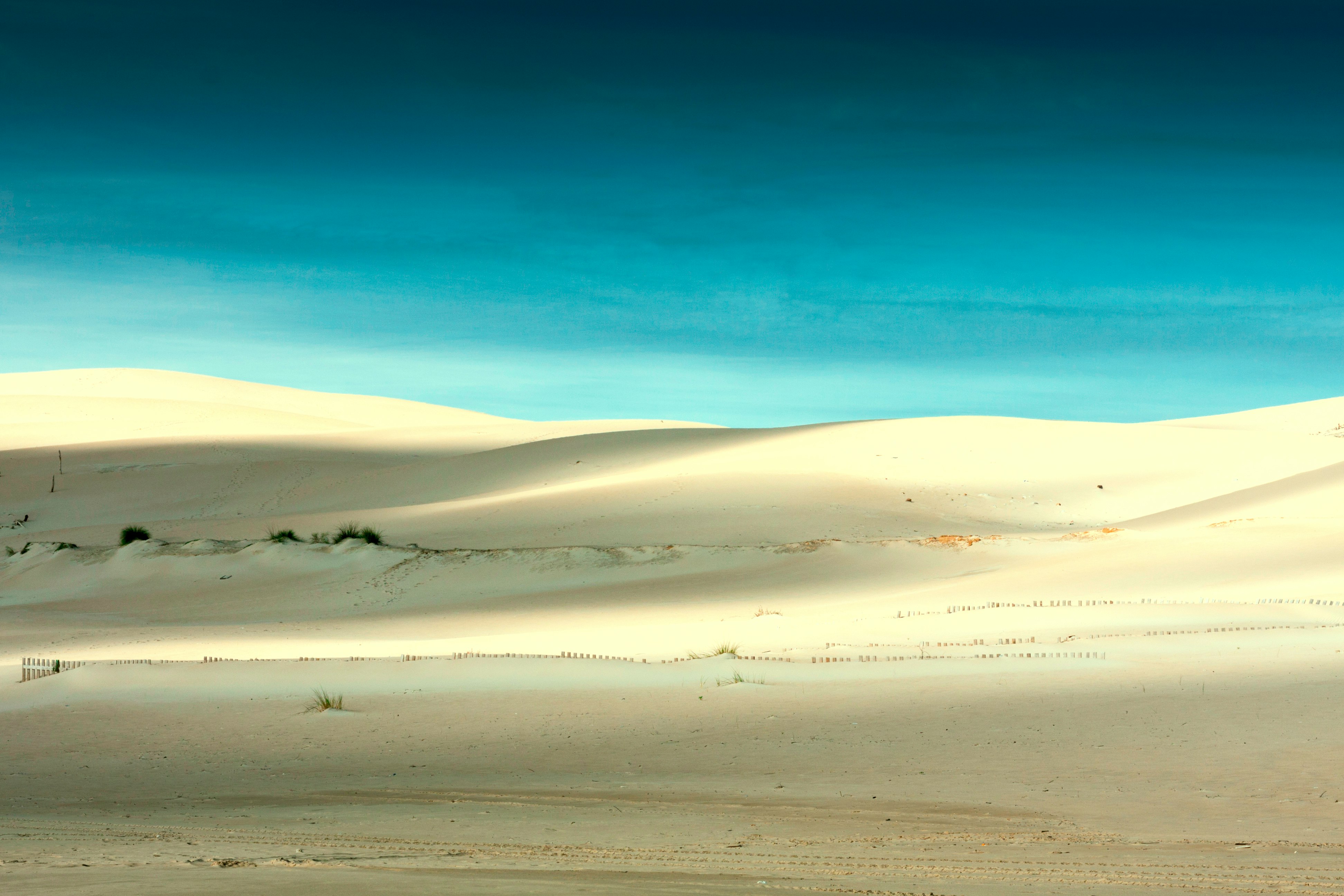 desert under blue skies